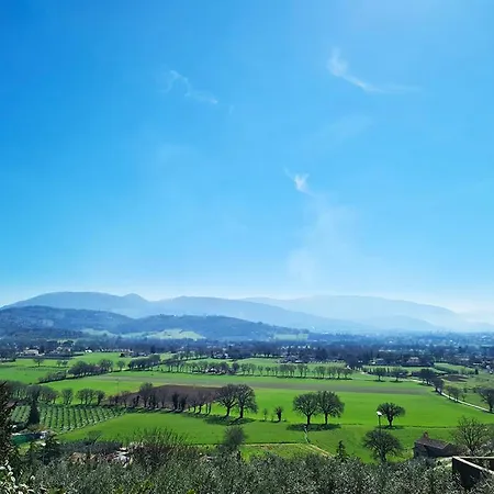 La Casina Della Bulgarella By Ospitaci Apartment *