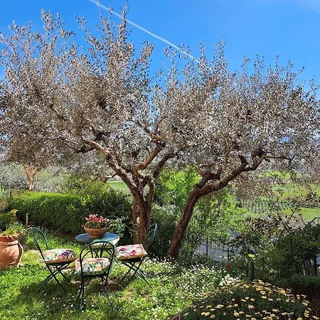 La Casina Della Bulgarella By Ospitaci *